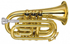 Amati ATR 314I-O труба Bb компактная, лак золото (растр.95мм, мензура 11, 10мм)