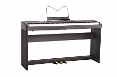 Ringway RP-35 B цифровое пианино, цвет черный, без стойки